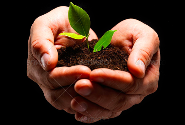 网站攻击软件工具